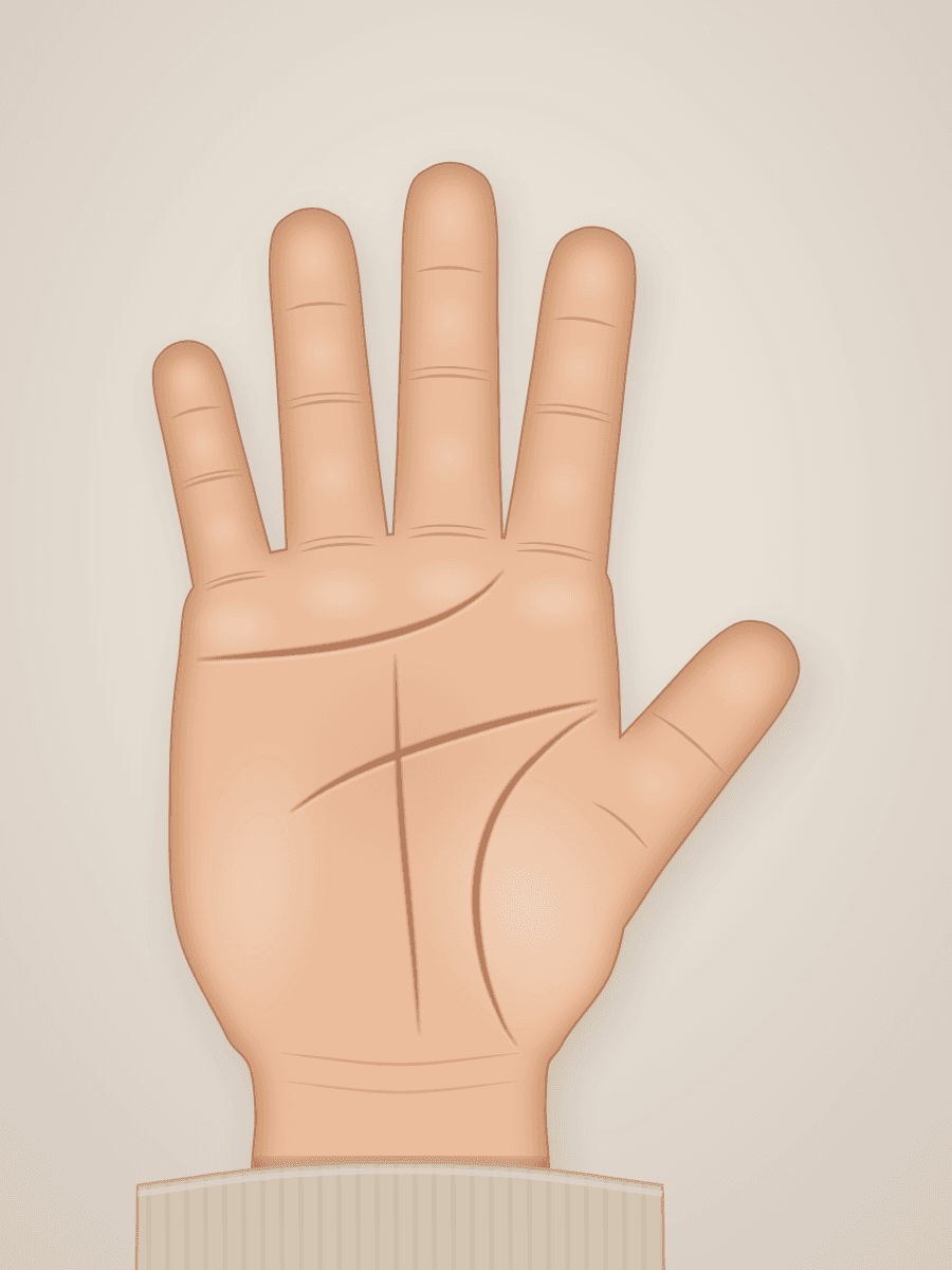 Illustration of an open right palm, fingers pointing up, showing the heart, head, life and fate lines